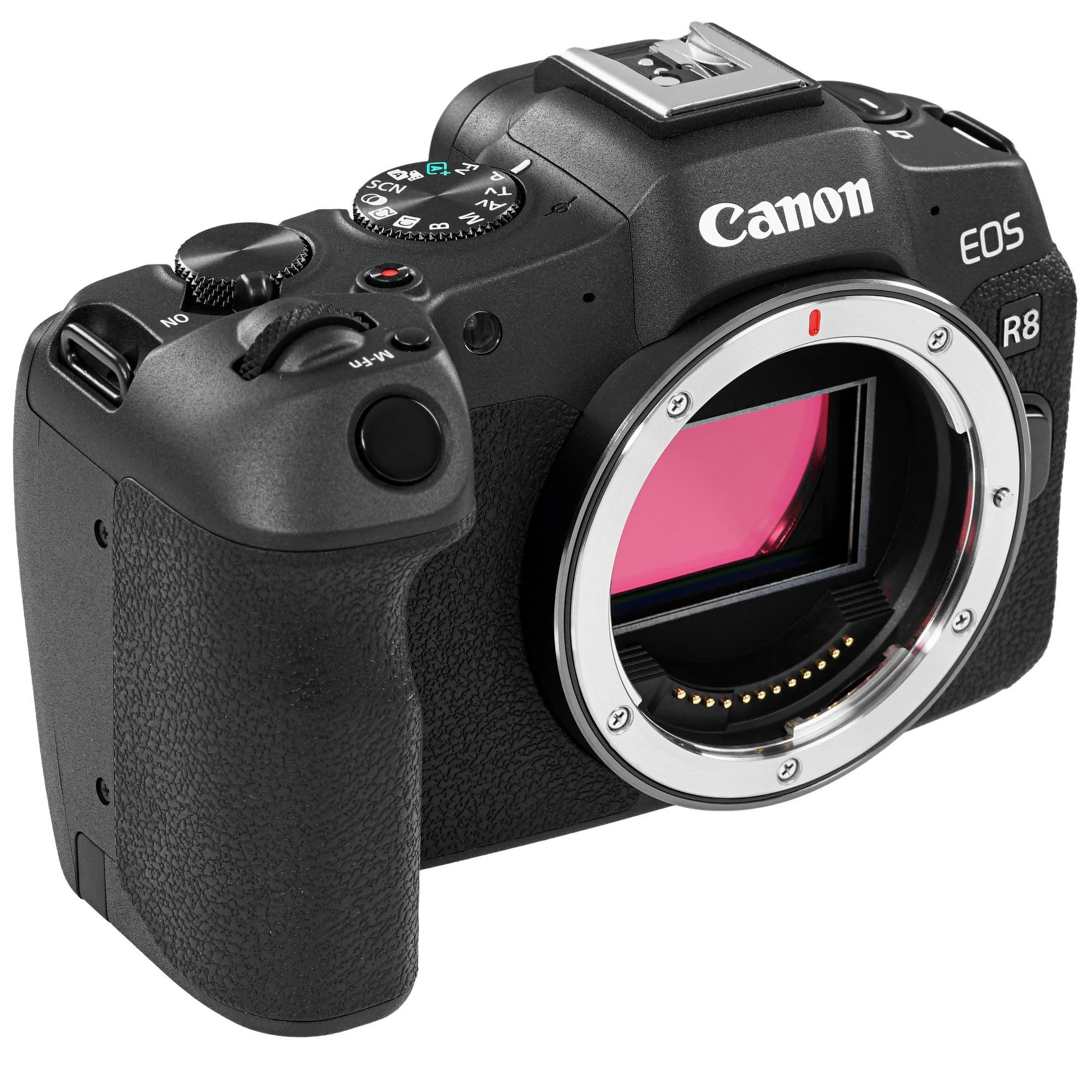 Canon EOS R8 Body Mirrorless Camera