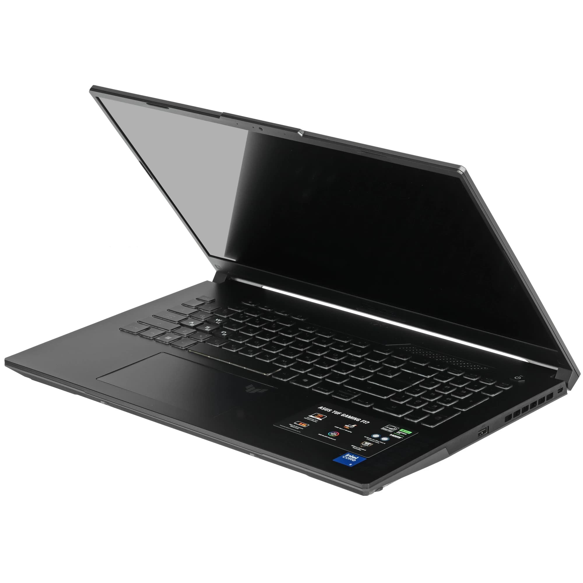 ASUS TUF Gaming 17.3" Laptop